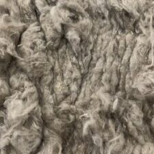carpet shoddy